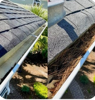 Roof and gutter maintenance in progress